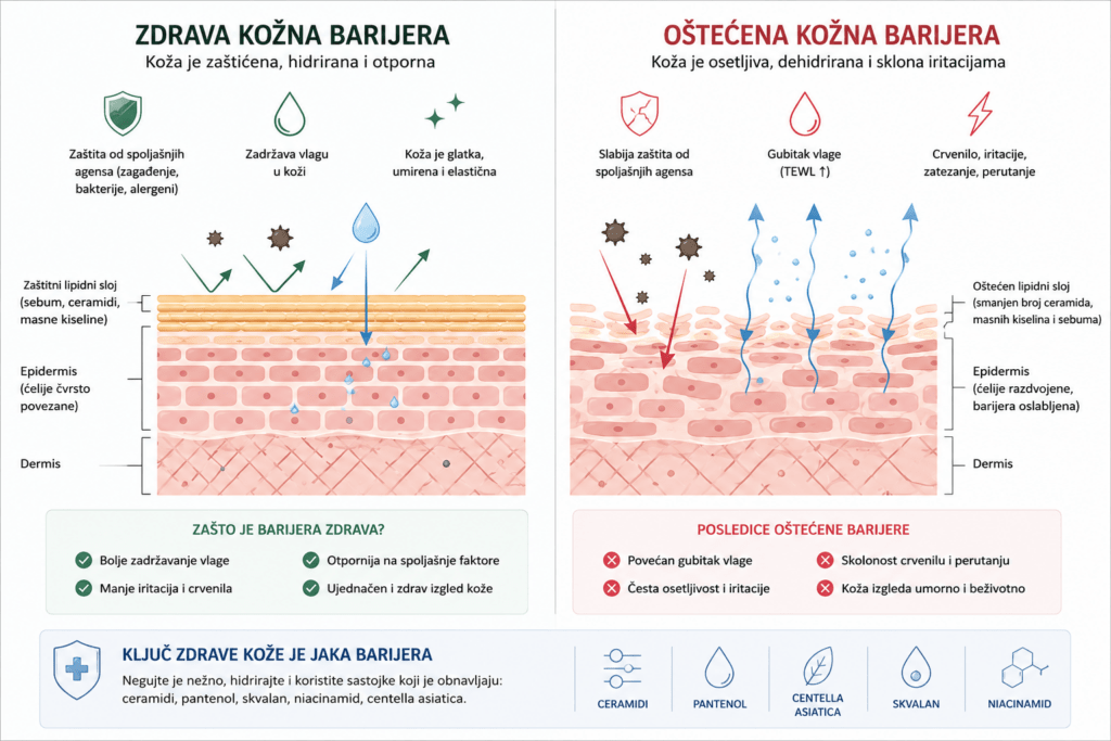 Vizuelni prikaz zdrave i oštećene kožne barijere – poređenje strukture epidermisa, lipidnog sloja i gubitka vlage
